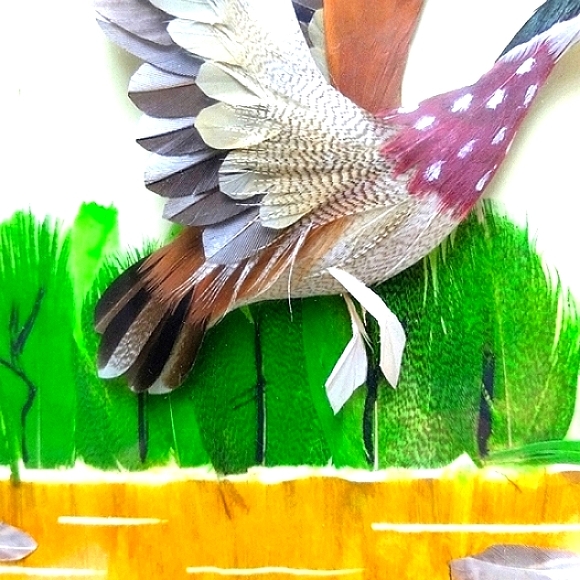 Vtg FEATHER 3D Flying Duck Framed Art - Picture 3 of 14